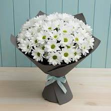 Букет цветов из:  Хризантемы #REPLACE_PRED# Убинском