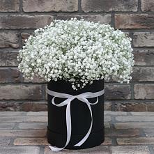 Цветочная композиция из Гипсофила в шляпной коробке в Убинском